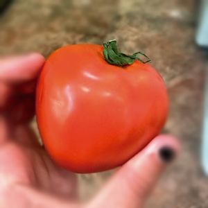 Tomate