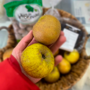 manzana regil