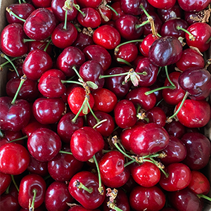 Cerezas de temporada itxaspe