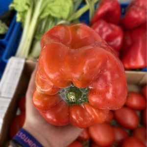 pimientos itxaspe urnieta
