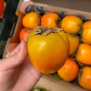 kaki itxaspe urnieta