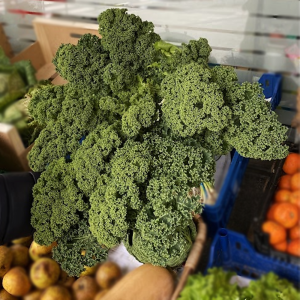 kale itxaspe urnieta