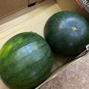 sandia itxaspe urnieta