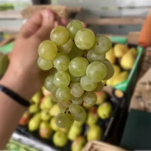 Mahats verde ekologikoa